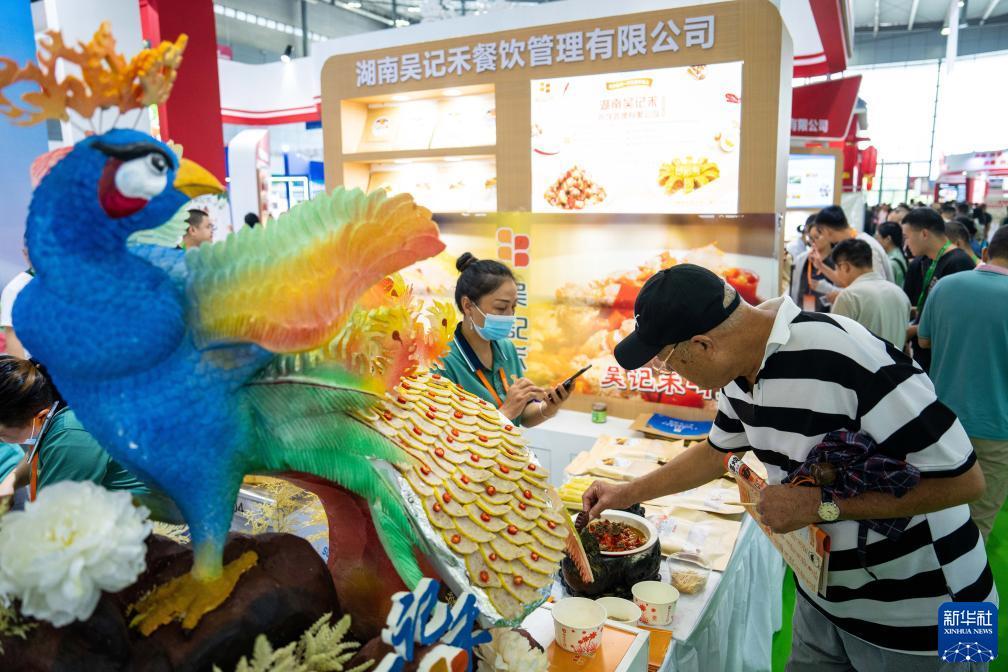 免费彩金白菜官网